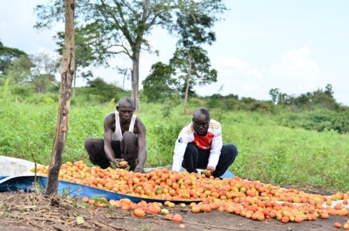 Uganda4Resilience