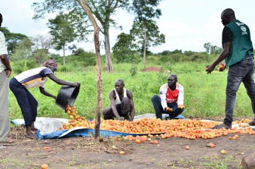 Uganda4Resilience
