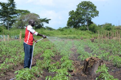 Uganda4Resilience