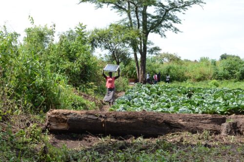 Uganda4Resilience