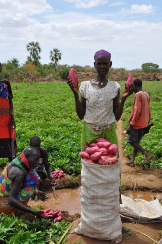 Kenya4Resilience